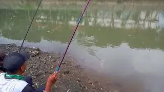 Padahal Hanya Sebentar Mancing nya,,!!tapi tetap Kita Pesta Strike