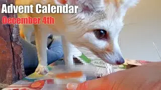On Day 4 Everything Falls to the Floor