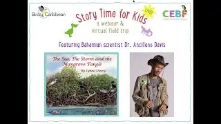 Mangrove Story Time and Virtual Field Trip for Curious Kids