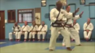 TSDMGK 7th Dan Test 2017