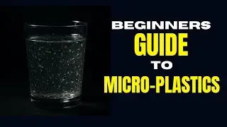 Microplastics Explained (2025): Where They Come From & How to Reduce Exposure