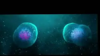 Brain rot origin of the world