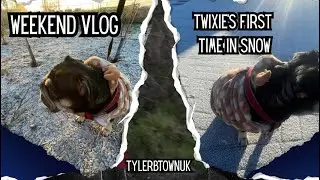 Weekend Vlog - Twixie&rsquo;s First SnowFall ❄️☃️