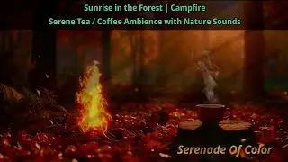 ☀️ Coffee at Sunrise in the Forest ☕️ | Campfire & Serene Tea Ambience with Nature Sounds ✨️