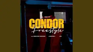 CONDOR FREESTYLE