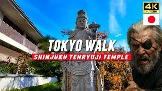 Japan travel / Shinjuku Temple Walk through Tenryuji Temple & Raiden Shrine / Tokyo / 4K UHD
