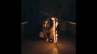 Jane Remover - Professional Vengeance (Clean)