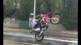 SUMO STUNTERS 2020