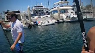 King Harbor Marina Paddleboarding