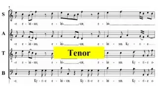 Mozart KV167- 1 Kyrie -Missa in honorem Sanctissimae Trinitatis- Tenor