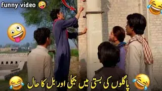 Bajli Chor | 10 Millions views
