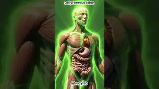 Чудодейственный напиток из зеленого чая или скрытая угроза здоровью? #bodylab #healthshorts #huma...