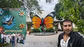 Butterfly Park Of Bannerghatta | Something Interesting To Explore Around Bangalore