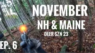 Deer Hunting SUCCESS in NH and Maine! Early November