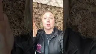 This could have been worse. Dog Poop Removal Spring Cleanup