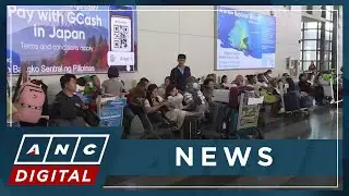 President Marcos urged to stop plans to hike NAIA terminal fee | ANC