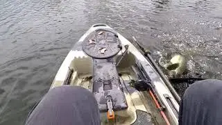Big bass on the Deps250 Slide Swimmer