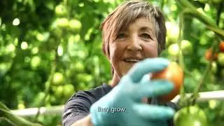 The Taste of Tradition | Wim Peters Kwekerijen | EN subs