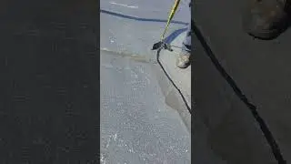 This Road Repair Method Saves Thousands