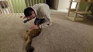 Big Susie's grooming time