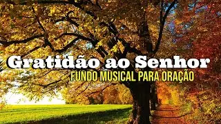 Fundo Musical para Oração e Agradecimento a Deus | Áudio Em Alta Definição