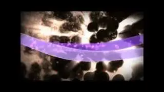 We Are MonaVie Legendado