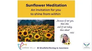 Sunflower Mindfulness Meditation Guided Practice by Corinne