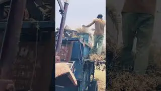 Mandhavi #madavi #gaming #song #automobile #hiteshgadhvi #musicgenre #farming #musicstyle #nature