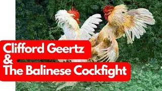 Clifford Geertz's Deep Play: Notes on the Balinese Cockfight #Geertz #Anthropology #Bali