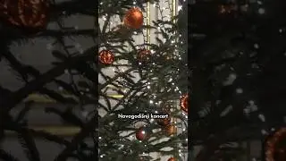 Slavljenički zvuci proželi &bdquo;Zajc&ldquo;! 🎊 #Novogodi&scaron;njiKoncert