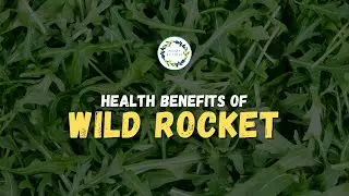 Health Benefits Of Wild Rocket