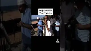 Orq Salsache/Vive Y Vacila/Balc&oacute;n del Zumbador Pi&ntilde;ones