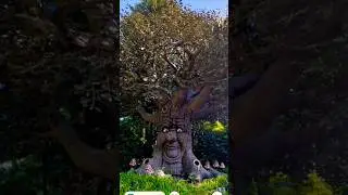 Human Face Tree is real Life Found On Google Map||Google Map||#shorts#tree#searchwithjay