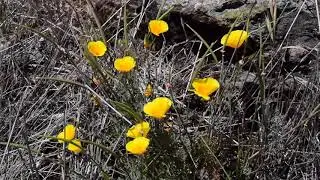 Blue Rock Springs Park, May 21, 2018