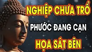 Tại Sao Kẻ Ác Vẫn Sống SUNG SƯỚNG? Nhân Quả Báo Ứng KHÔNG SAI
