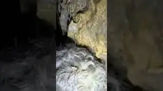 River cave explore.@CaveExploringTeam #cavediscovery #caveexploration #caveadventure