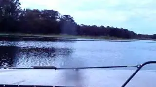 Swampboat III