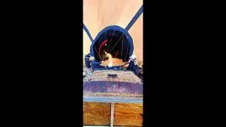 Montie The Black Sheep  Balloon Ride