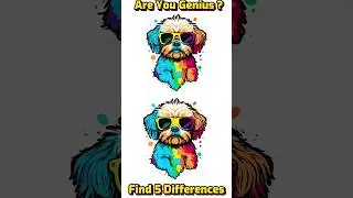 Are You Genius? Find 5 Differences Of Cute Animal Colorful Dog #shorts #different #cuteanimals