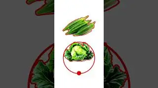 incomplete puzzle 🥬🥬Photo Challenge #shorts #viral #trending