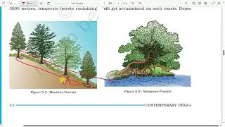 CLASS 9 GEOGRAPHY CHAPTER 5 NATURAL VEGETATION AND WILDLIFE PART 3 HINDI EXPLATION CBSC NCERT
