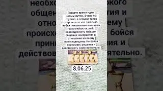 #таро #tarot #2025 #1000subscriber #картадня #peolpe #summer #june #cat