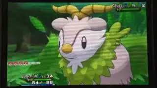 *LIVE COMMENTARY*Shiny Skiddo reaction on a chain of 40!