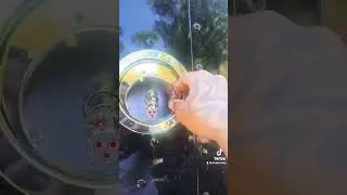 Do it yourself you&rsquo;ll save a lot of money lol 😎 watermelon lights install from Horse & Buggy 🥶