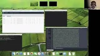 PCF app routing security deep dive - part 4 - platform mTLS verification demo