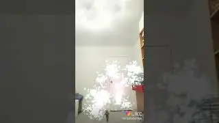 ***