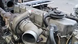 MS Motor Service kobelco engine 8072726287