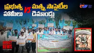 Fishermen Demand Government Direct Benefit Transfer Instead of Free Fish Seed | Fishery News Telugu