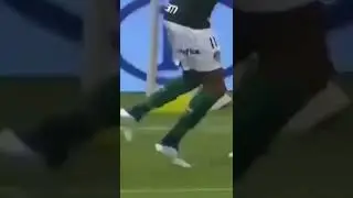 Gola&ccedil;o incr&iacute;vel do Wesley do Palmeiras contra o Botafogo - Gol do Palmeiras no Brasileir&atilde;o S&eacute;rie A.