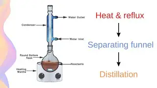 Esterification: Reflux, Isolation and Purification // HSC Chemistry
